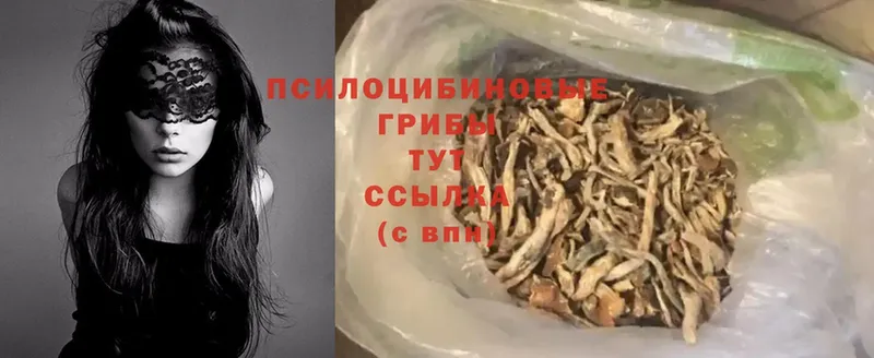 Псилоцибиновые грибы MAGIC MUSHROOMS Арсеньев